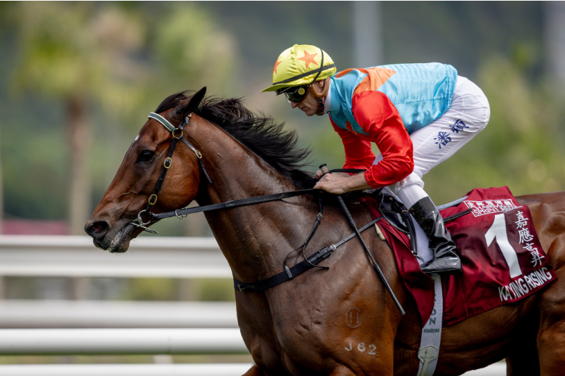 香港賽馬冷腳防漏是什麼？為什麼熱門馬不一定穩入三甲